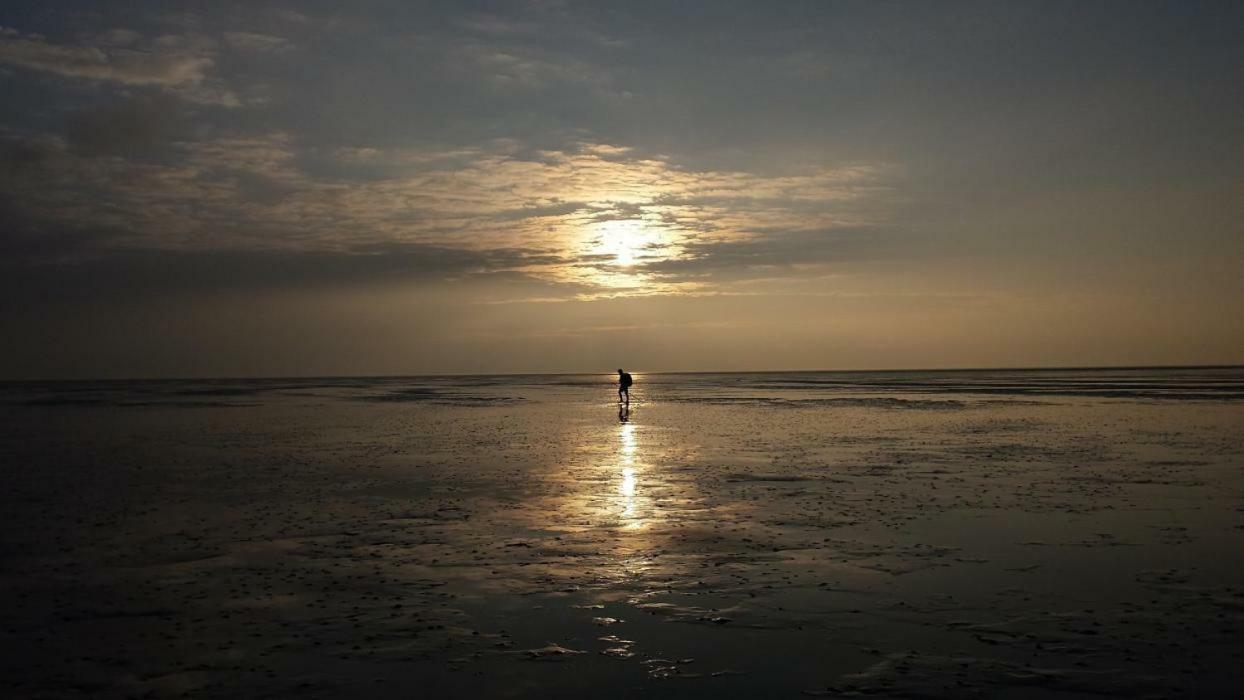Vakantieverblijf Aan De Dijk Hotel Hippolytushoef ภายนอก รูปภาพ