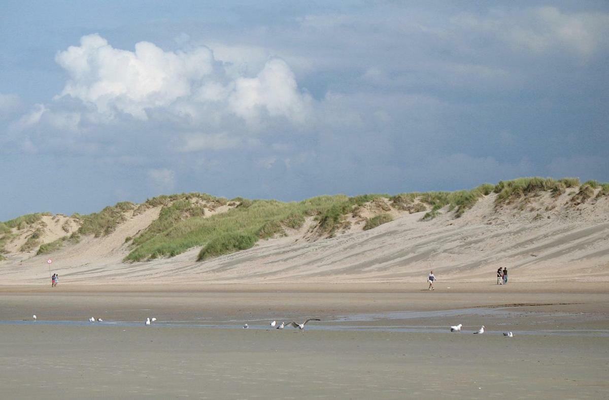 Vakantieverblijf Aan De Dijk Hotel Hippolytushoef ภายนอก รูปภาพ